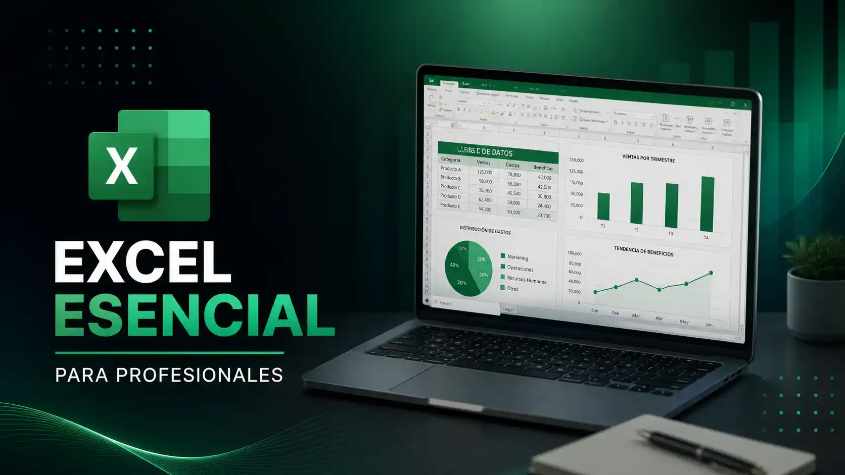 Excel esencial para profesionales